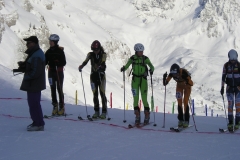 SKI-ALP-3-2007-011