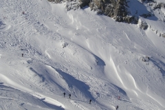 SKI-ALP-3-2007-059