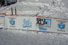 SKI-ALP-3-2007-064