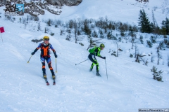 215-SKIALP3MP