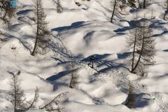 DSCF0870
