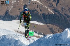 SKIALP3-MP-239