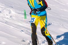 SKIALP3-MP-87